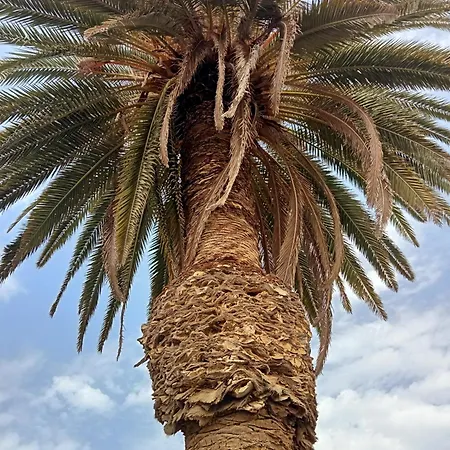 Apartament Village Naturiste R4n - Le Cobalt Jardin D'eden Couple Only Luxe Agde