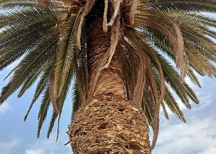 Apartamento Village Naturiste R4n - Le Cobalt Jardin D'eden Couple Only Luxe Agde